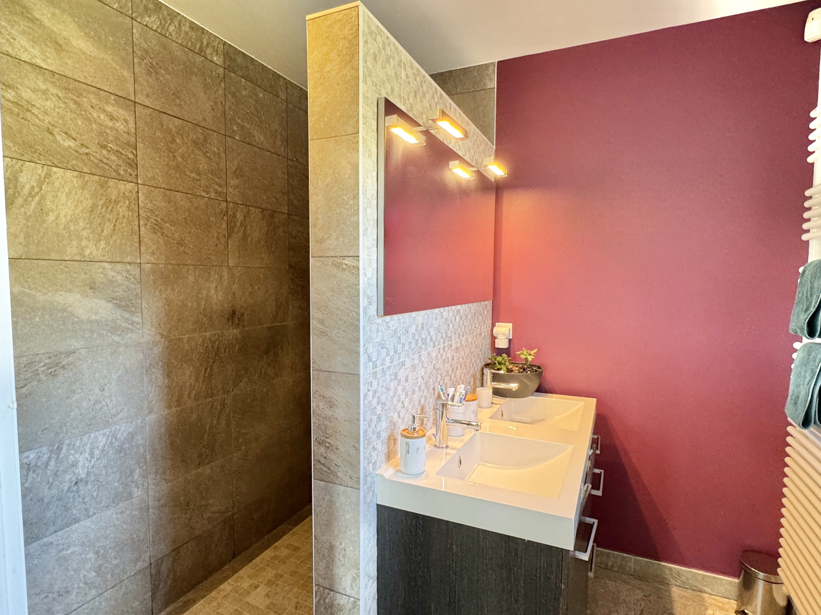 Image_11, Maison, Craponne, ref :2182