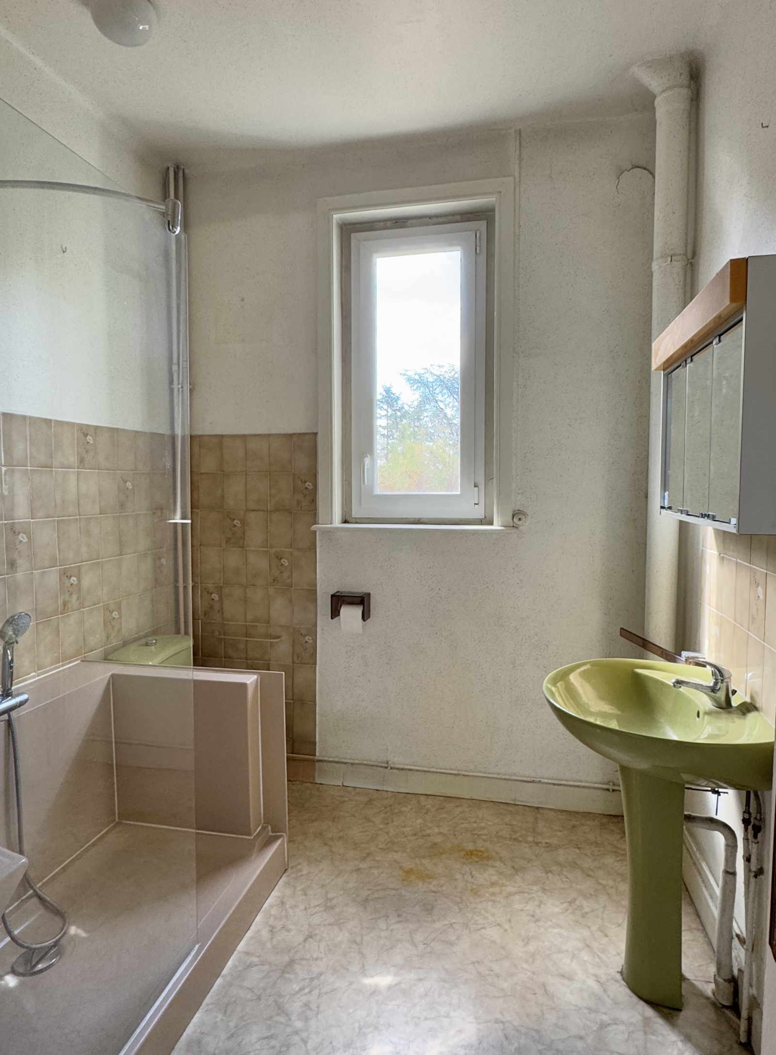 Image_10, Maison, Craponne, ref :2172-1