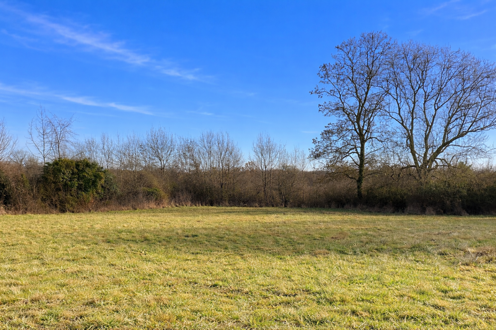 Image_1, Terrain, Brindas, ref :2201-2